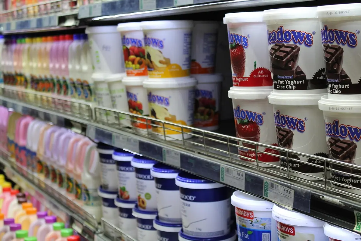 A geladeira que pode cortar sua conta de luz e ainda manter tudo mais fresco