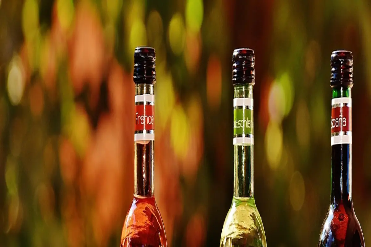 Adega climatizada que conserva seus vinhos como os restaurantes fazem