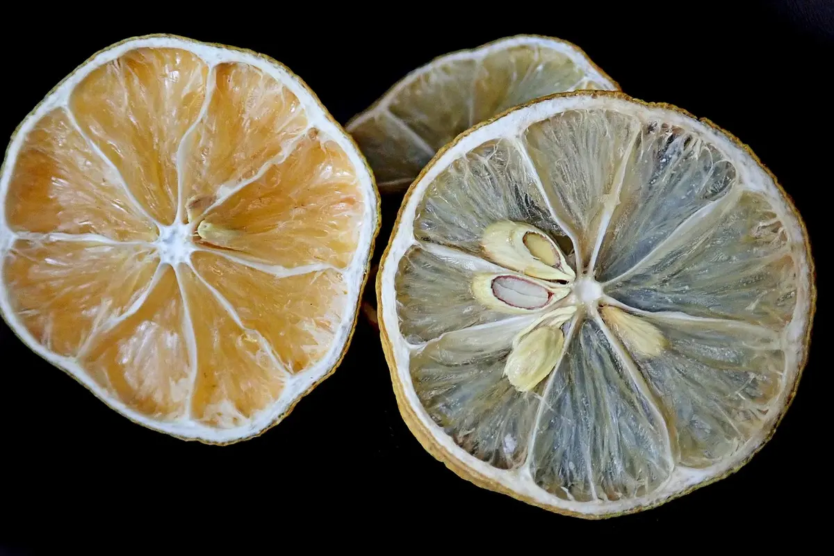 Desidratador que conserva frutas por semanas e ainda faz snacks saudáveis