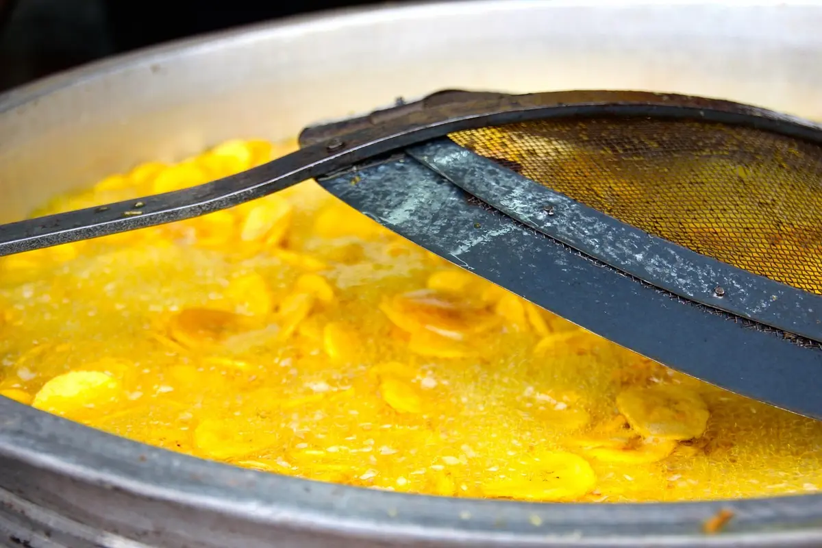 Essa fritadeira elétrica sem óleo deixa tudo crocante por fora e macio por dentro