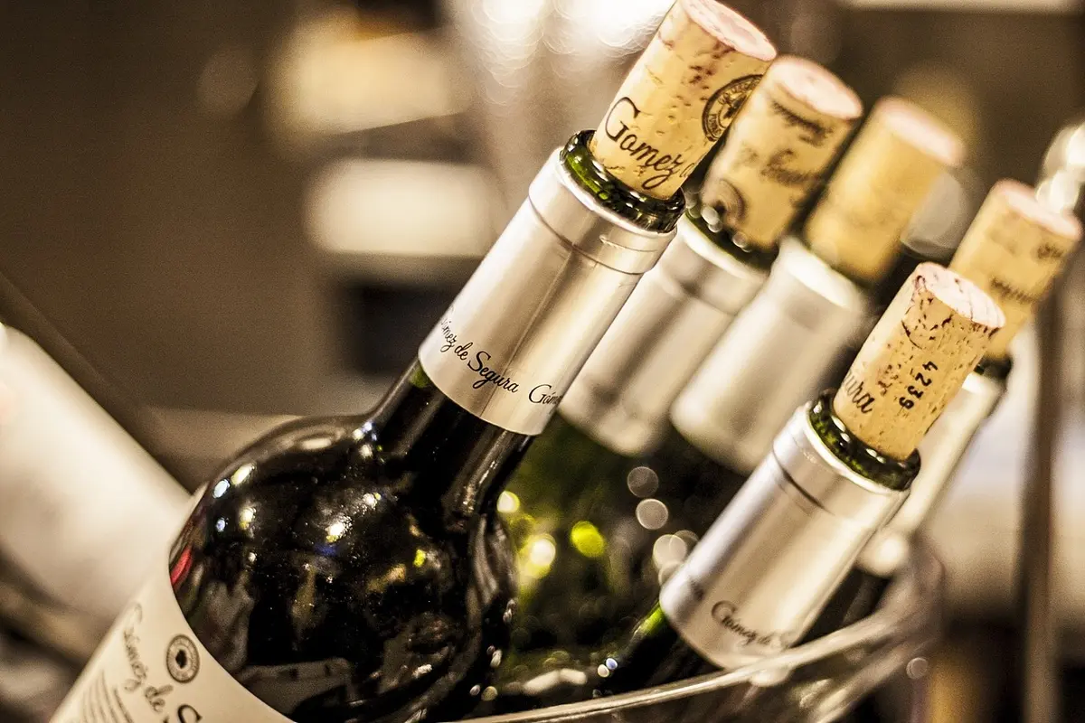 Adega climatizada que conserva seus vinhos como os restaurantes fazem