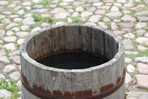Dê um passo sustentável: captação de água da chuva de forma fácil e eficiente