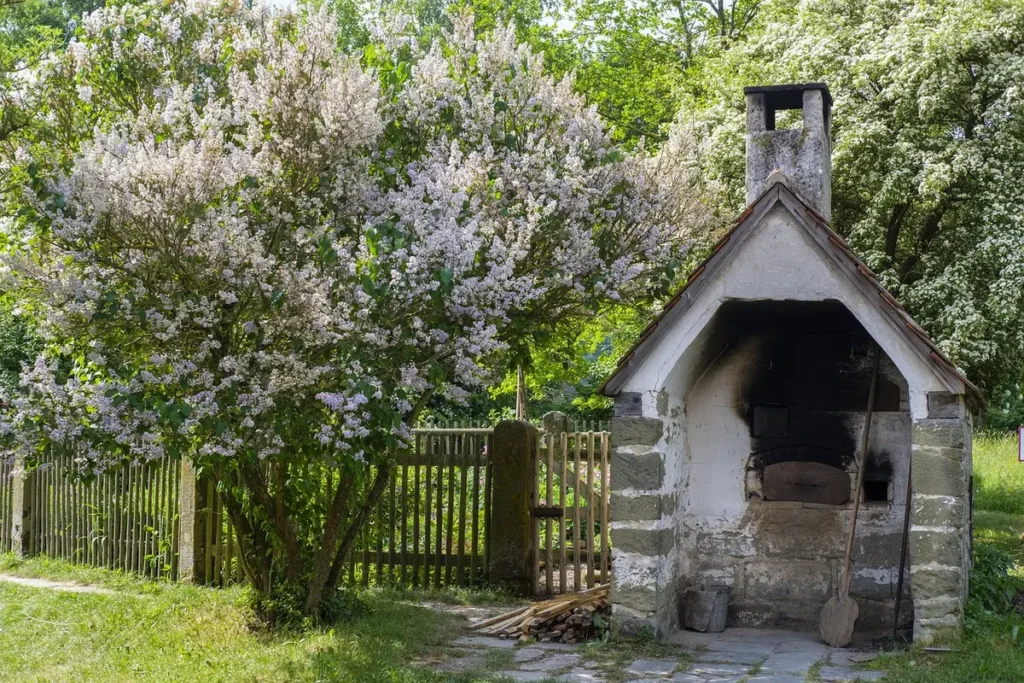 Esse forno elétrico assa mais rápido e deixa a comida mais saborosa - veja como